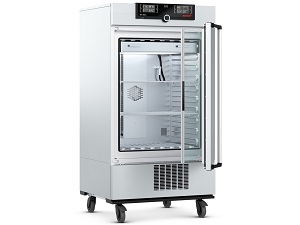 ICH260L