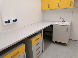 Realizace laboratorního nábytku a digestoří: Ústav experimentální medicíny AV ČR Praha, druhá laboratoř