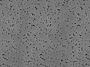 Membránový filtr Nuclepore z polykarbonátu, Whatman