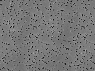Membránový filtr Nuclepore z polykarbonátu, Whatman