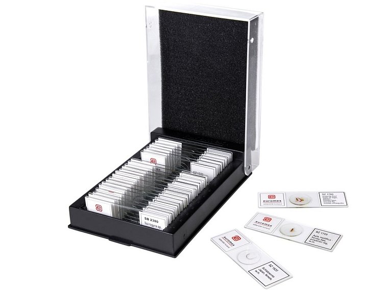 Sada mikroskopických preparátů ze zoologie, botaniky a histologie