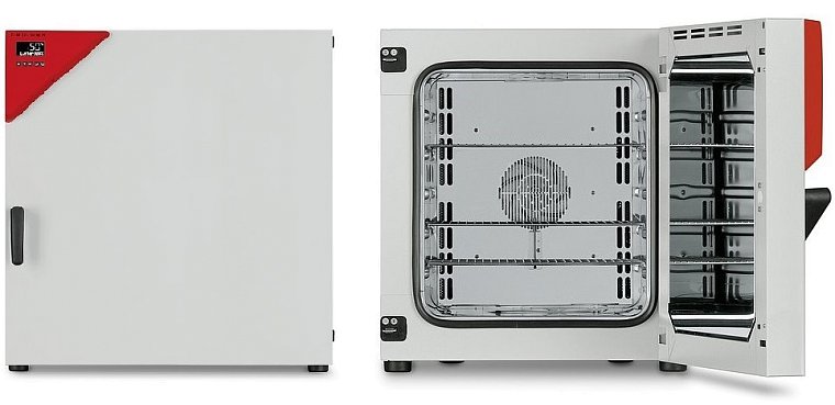 FD 260