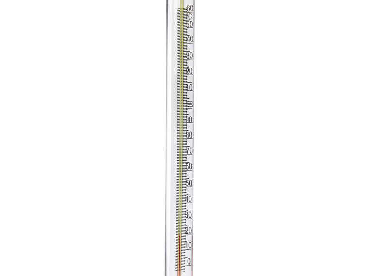 T18155620