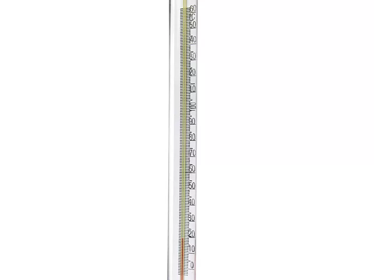 T18155620