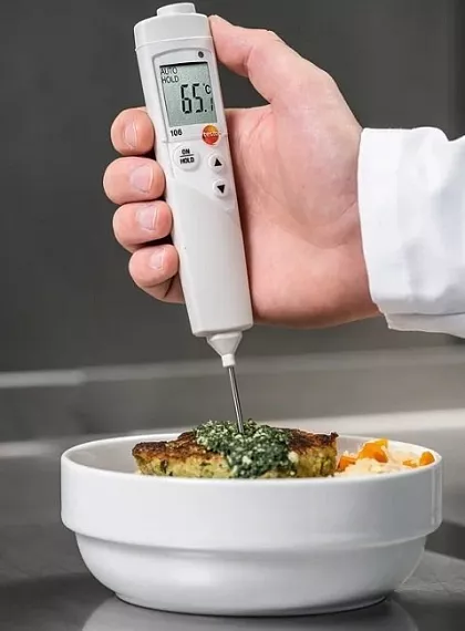 Teploměr vpichový testo 106