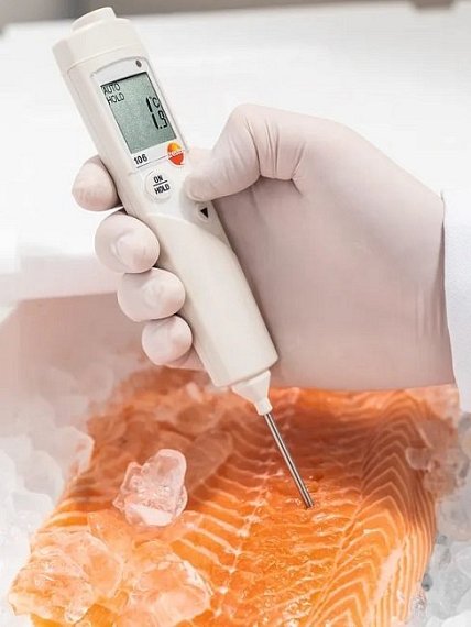 Teploměr vpichový testo 106