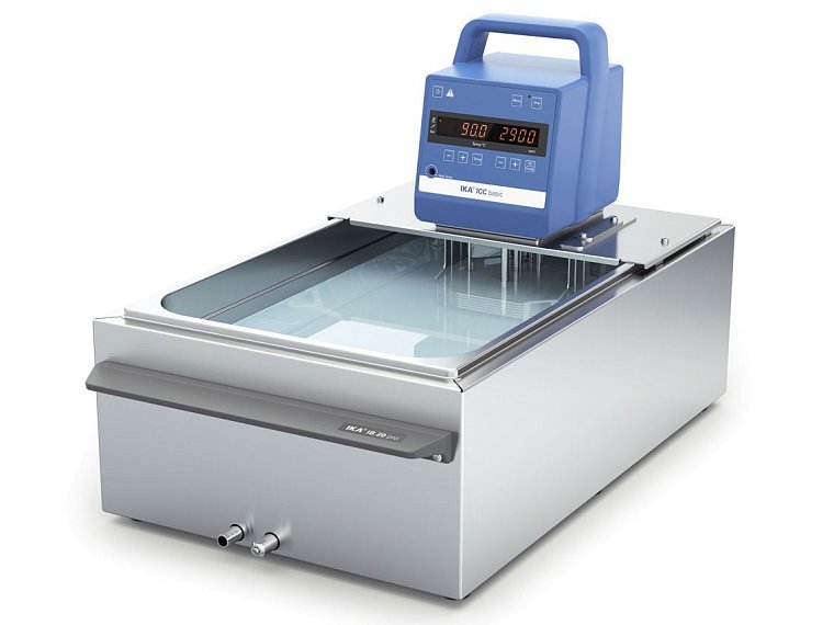 ICC basic pro 20