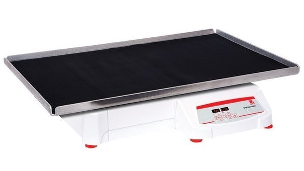 třepačka SHHD6850DG s digitálním ovládáním