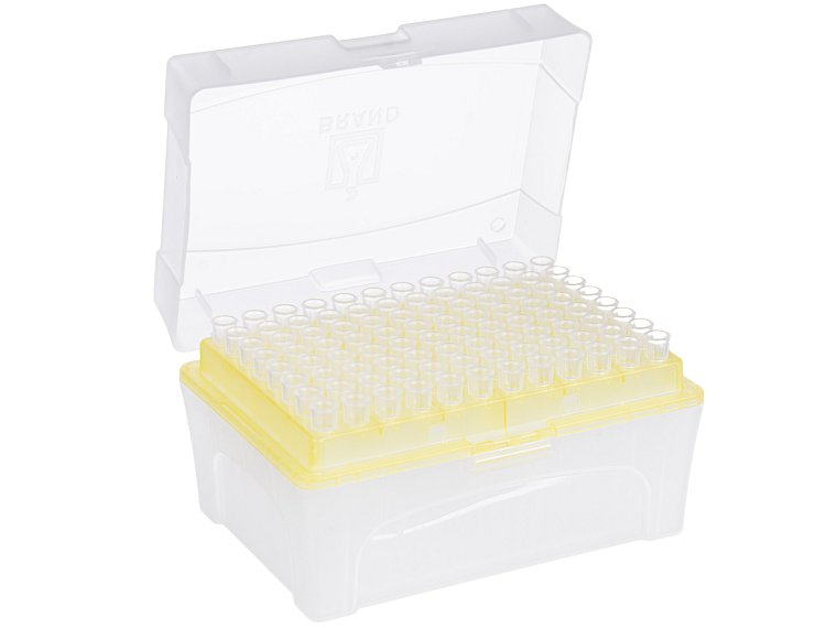 plný, se špičkami