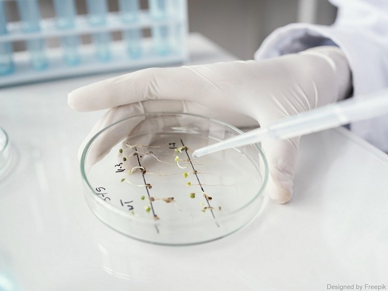 Jak inkubátory Q-Cell usnadňují laboratorní práci?
