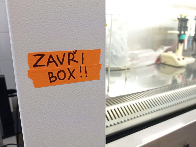 Udržitelnost do laboratoře patří, jak ale na ni?